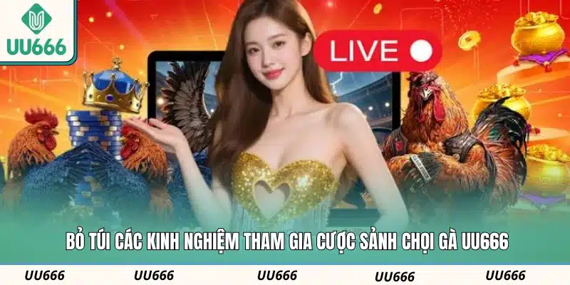 Bỏ túi các kinh nghiệm tham gia cược sảnh chọi gà UU666
