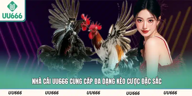 Nhà cái UU666 cung cấp đa dạng kèo cược đặc sắc
